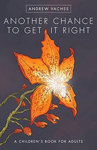 Another Chance To Get It Right, a children's book for adults. Written by Andrew Vachss