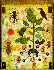 Andrew's Nightshade by TKO Tony Fitzpatrick. 1995 Tony Fitzpatrick