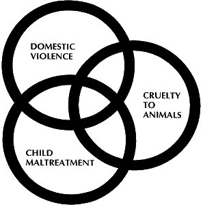domestic violence, cruelty to animals, child maltreatment